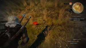 Ведьмак 3 ▶ Клекотун ▶ Как выгнать и Победить!!!