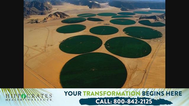 Eating Certain Foods Impacts Climate Change, Water Supplies, Soil Erosion, And Natural Resources смотреть онлайн