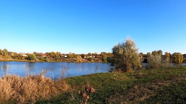 Проверенный способ стать ближе с партнером. смотреть онлайн