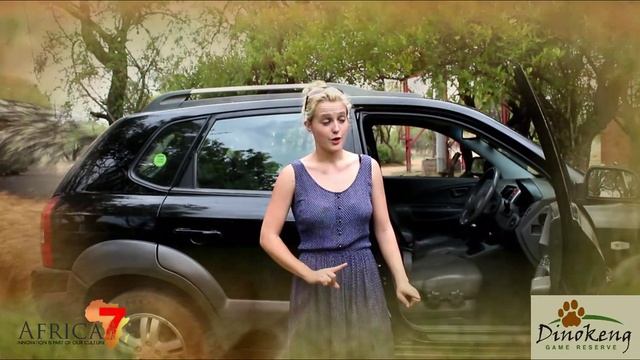 Dinokeng Game Reserve - Gauteng - South Africa смотреть онлайн
