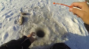 КРУПНЫЙ КАРАСЬ ЗИМОЙ! Здоровенные лапти на мормышку. Зимняя рыбалка на карася