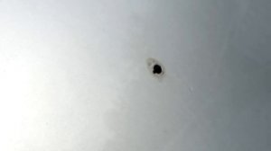 Замена стандартных форсунок на веерные Лада Ларгус