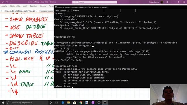 Aula 06 - Manipulando MySQL e PostgreSQL via prompt de comando смотреть онлайн