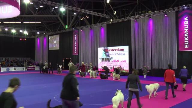 FCI Group 1 - Amsterdam Winner Show 2015 смотреть онлайн