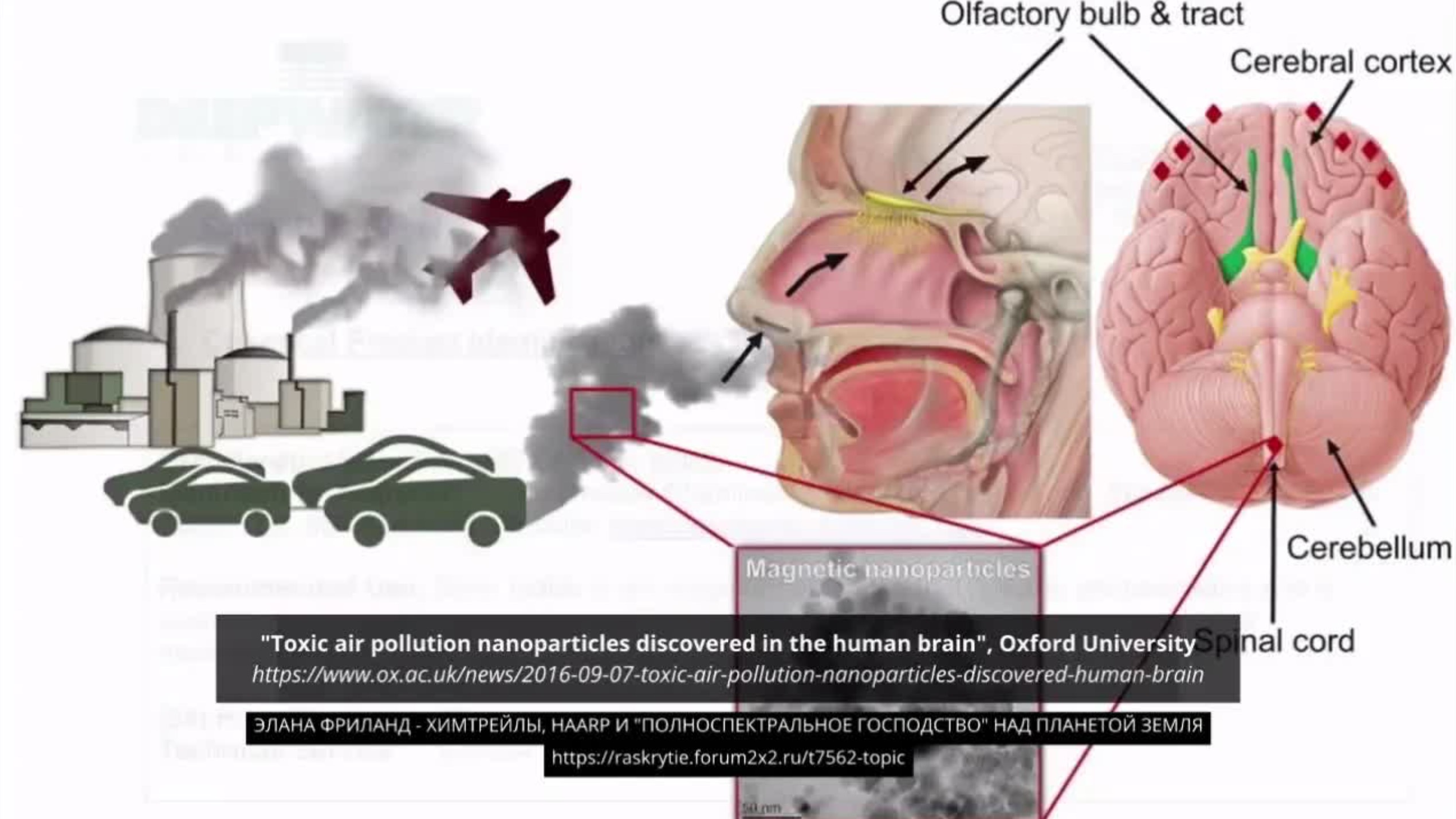 Элана Фриланд - Химтрейлы, HAARP и 