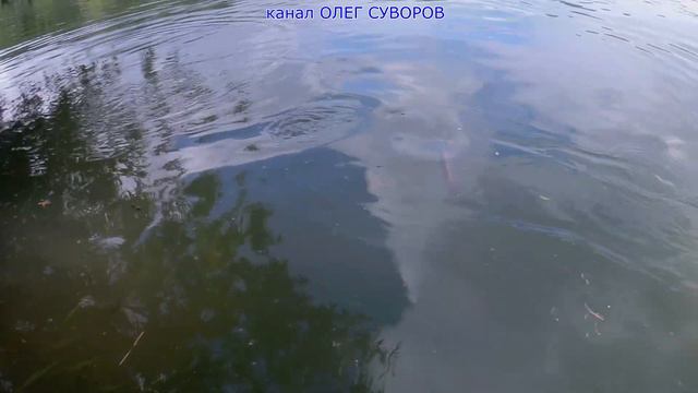 Джеркбейты самодельные - испытания.  Часть 2. Jerkbait