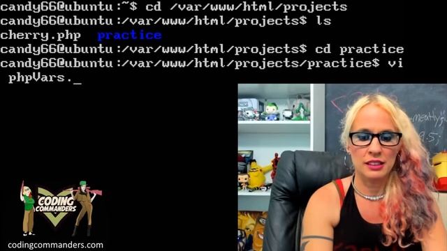 Introducton to PHP programming: Datatypes, Variables, & Constants смотреть онлайн