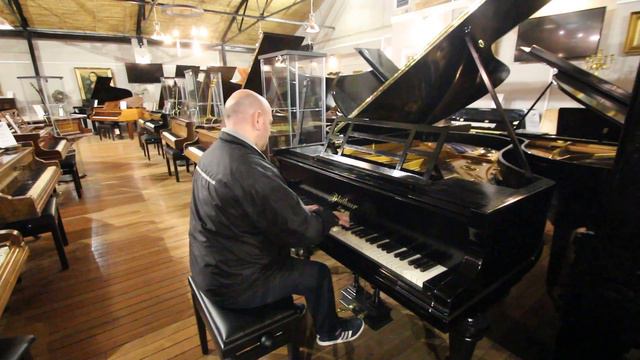 Black Bluthner Baby Grand Piano at Sherwood Phoenix Pianos смотреть онлайн
