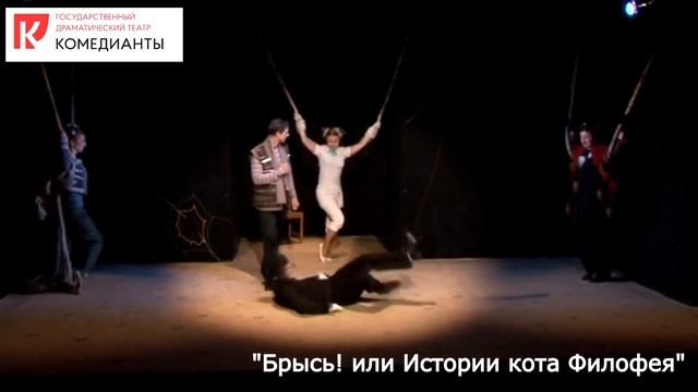 Брысь или Истории кота Филофея смотреть онлайн