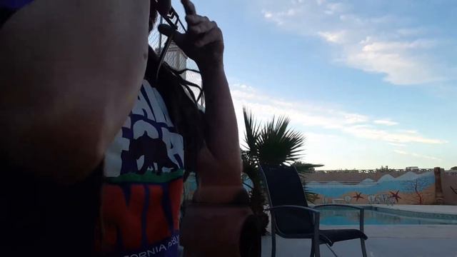 muphaso harmonica djembe vegas sick смотреть онлайн