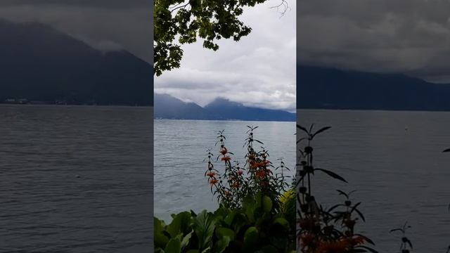Walking along Lake Geneva in Montreux смотреть онлайн