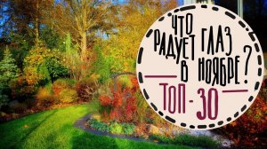 Прогулка по саду #6   С названиями растений на латыни, русском и немецком  Невероятный ноябрь 2023