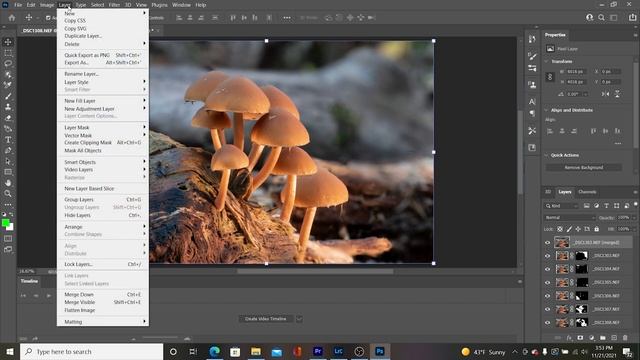 Mushroom Macro Photography using Lightroom, Photoshop and Luminar AI смотреть онлайн