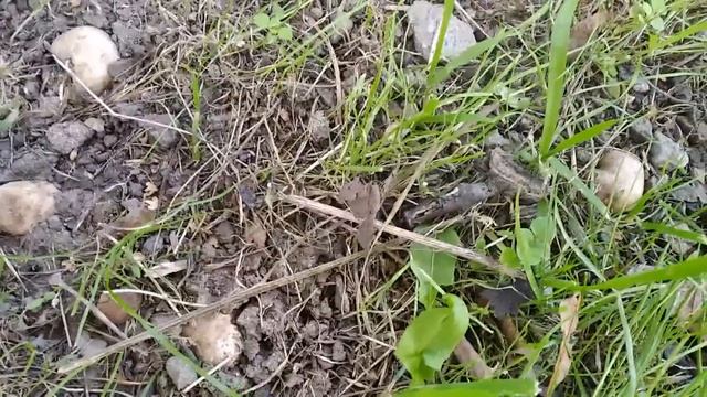 ЗАПОРОЖЬЕ.НЕТ СВЕТА И ВОДЫ 18.10.22 смотреть онлайн