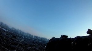 охота на гуся 2019.Север Воронежской.тысячи гуся(18+)