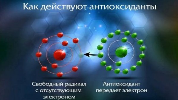 Что такое свободные радикалы. Чем свободные радикалы опасны для организма. Что такое антиоксиданты