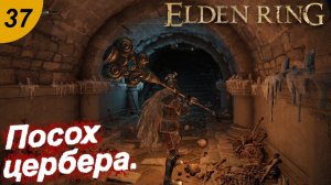 Лачуга мстителя и посох цербера.#37 ELDEN RING. Прохождение.