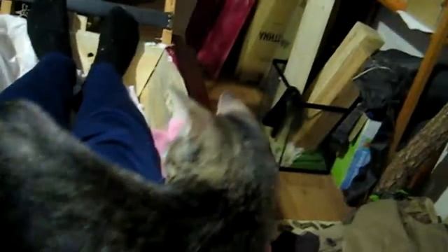 ГОТОВЬ САНИ ЛЕТОМ, А ТЕЛЕГУ ЗИМОЙ смотреть онлайн