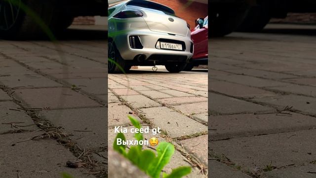 Выхлоп kia ceed gt 1.6 turbo прямая трасса смотреть онлайн