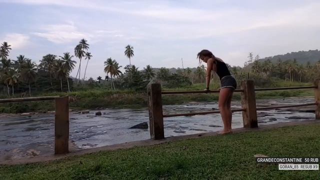 Я вернулась. Pinnawala, Sri Lanka. смотреть онлайн