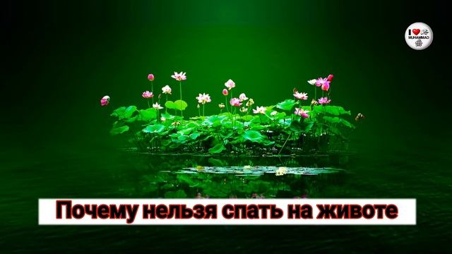 Почему нельзя спать на животе!#Ислам #akhmad #хадисы #рамадан смотреть онлайн