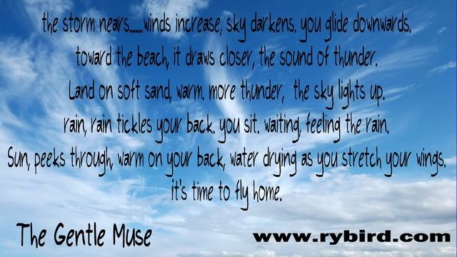 The Gentle Muse By Rybird смотреть онлайн