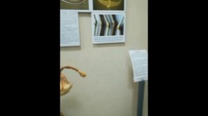 Поход в музей