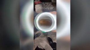 ПЕНИТСЯ МАСЛО ГУРА