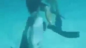 Дельфин изнасиловал человека.Умора!