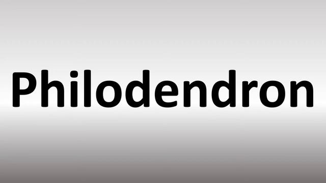 How to Pronounce Philodendron смотреть онлайн