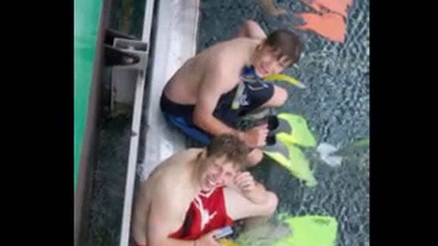 Strath Tour 2006 @ Moore Reef смотреть онлайн