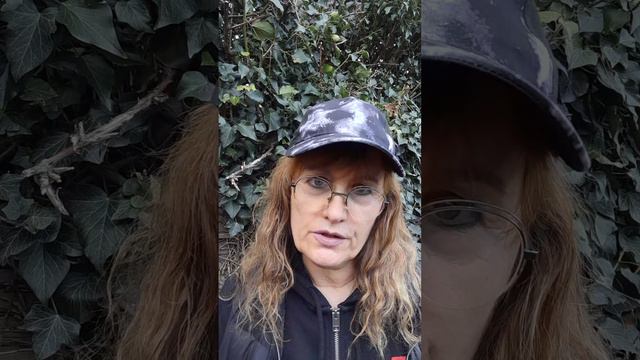 Что за зверь внутри тебя смотреть онлайн
