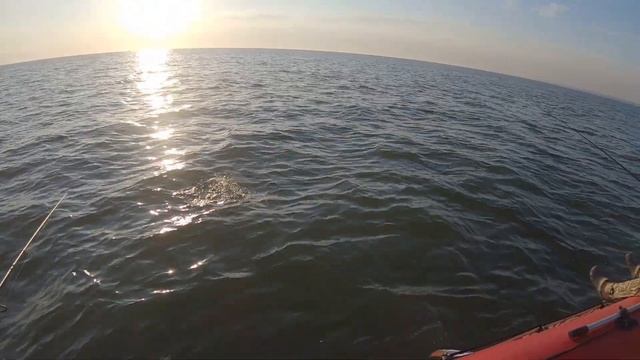 Джиг с подвязкой мухи! Дуплеты. Окунь и судак на каждом забросе смотреть онлайн