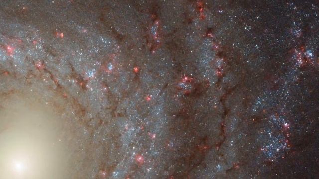 Этот эпизод передачи Hubblecast исследует значение цветов в спиральной галактике NGC 3344. смотреть онлайн
