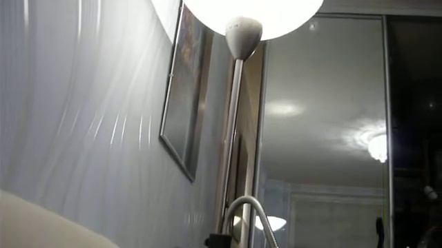 Кота и ночной мотылёк..))) смотреть онлайн