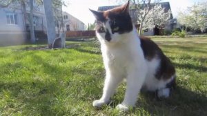 Видео для канала А ну-ка Давай-ка