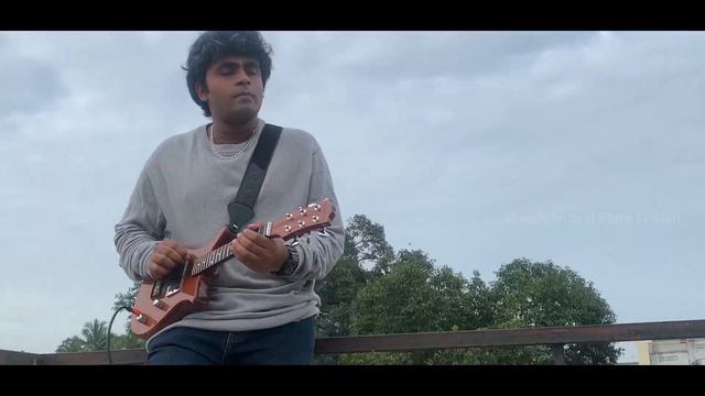 Bella Ciao - Money Heist - Mandolin Cover смотреть онлайн