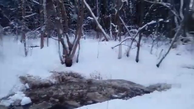 Мтз и квадрик смотреть онлайн