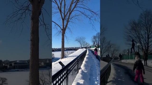 Прогулка по столице Канады | #shorts смотреть онлайн