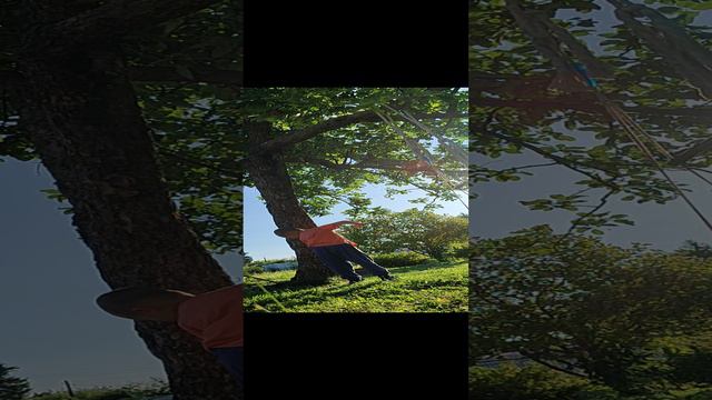 1000032586.mp4 смотреть онлайн