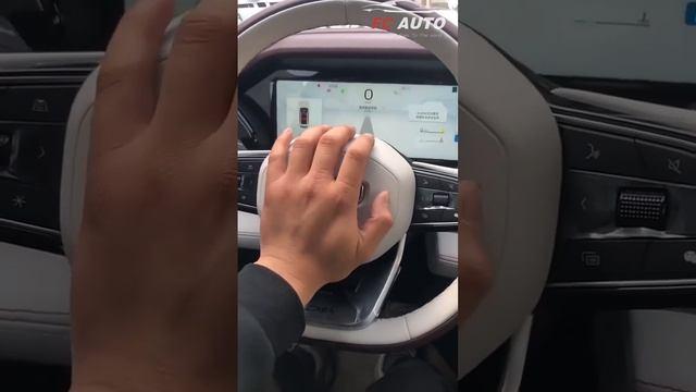 ALL NEW Petrol #GEELY Tugella L смотреть онлайн