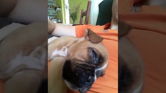 Молли во сне смотреть онлайн