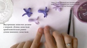 Гиацинт  Часть 1- лепим цветок из полимерной глины Hyacinth Part 1- we sculpt a flower