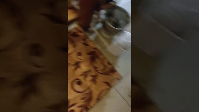 снова про гостиницу Горный источник , с Чемал смотреть онлайн