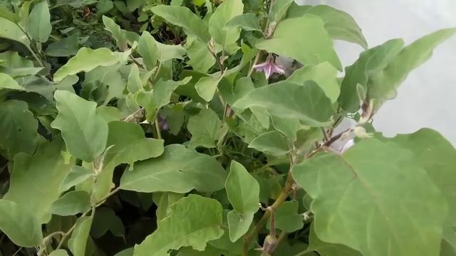 Строительные Путешествия