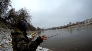 Подуст ловля в проводку