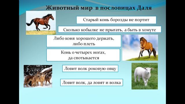 Пословицы и поговорки смотреть онлайн