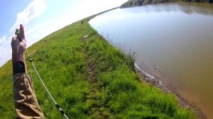 Судак ворует донки. Ловля судака на нарезку на р. Нура.