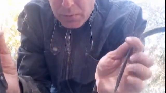 ДРЕССИРОВКА РОТВЕЙЛЕРА КАК ПРАВИЛЬНО ОДЕВАТЬ НАМОРДНИК смотреть онлайн