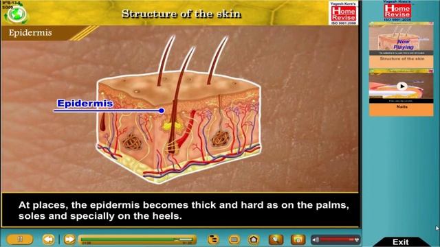 The Best E-Learning App In India. World-Class Method of Learning смотреть онлайн